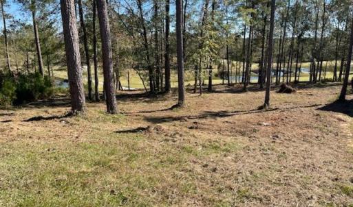 IMG_20241022_111251~2