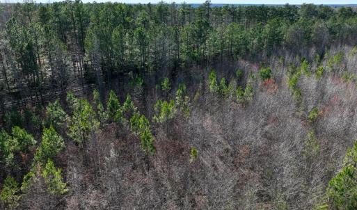 Photo #10 of 727 Wrights Road, Crewe, VA 25.7 acres