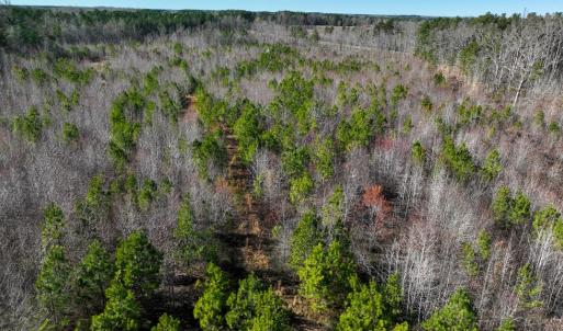 Photo #3 of 727 Wrights Road, Crewe, VA 25.7 acres