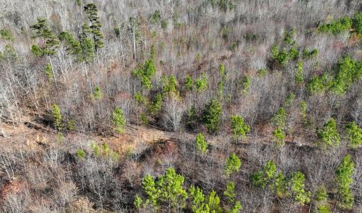 Photo #4 of 727 Wrights Road, Crewe, VA 25.7 acres