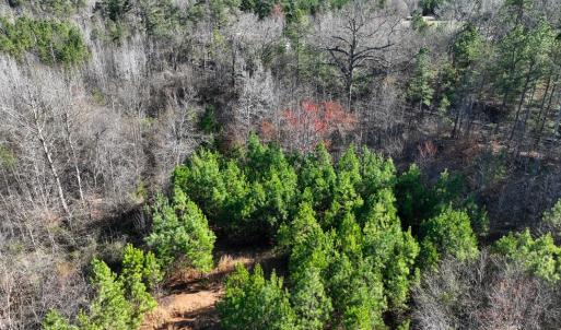 Photo #5 of 727 Wrights Road, Crewe, VA 25.7 acres