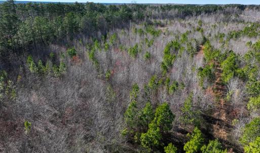 Photo #6 of 727 Wrights Road, Crewe, VA 25.7 acres