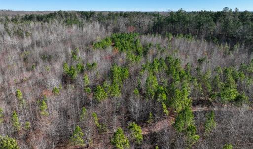 Photo #8 of 727 Wrights Road, Crewe, VA 25.7 acres