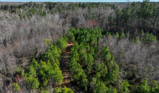 Photo #9 of 727 Wrights Road, Crewe, VA 25.7 acres