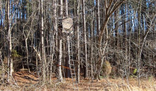 Photo #10 of Western Mill Rd, Lawrenceville, VA 36.2 acres