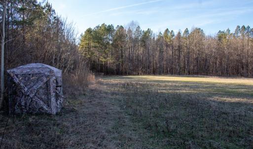 Photo #14 of Western Mill Rd, Lawrenceville, VA 36.2 acres