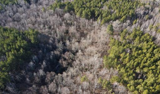 Photo #24 of Western Mill Rd, Lawrenceville, VA 36.2 acres