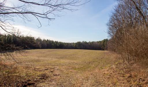 Photo #9 of Western Mill Rd, Lawrenceville, VA 36.2 acres
