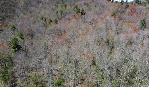 Photo #25 of Reedsville Rd NW, Floyd, VA 36.6 acres