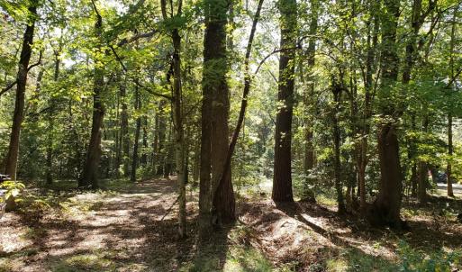 Photo #2 of Lot 8 WELLINGTON NECK RD, FRANKTOWN, VA 1.3 acres
