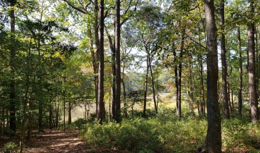 Photo #4 of Lot 8 WELLINGTON NECK RD, FRANKTOWN, VA 1.3 acres