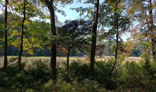 Photo #6 of Lot 8 WELLINGTON NECK RD, FRANKTOWN, VA 1.3 acres
