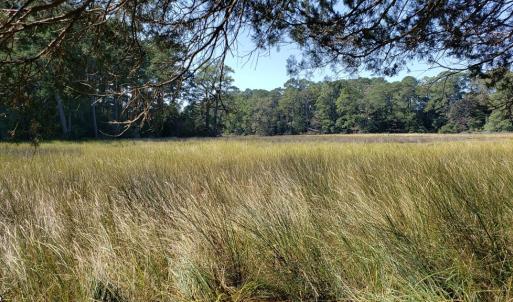 Photo #7 of Lot 8 WELLINGTON NECK RD, FRANKTOWN, VA 1.3 acres