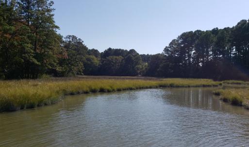 Photo #8 of Lot 8 WELLINGTON NECK RD, FRANKTOWN, VA 1.3 acres