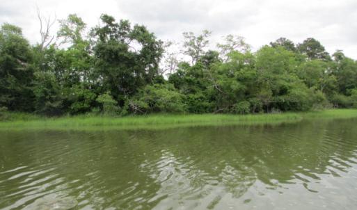 Photo #3 of 22278 VERLINDA LNDG SOUTH, CAPE CHARLES, VA 1.3 acres