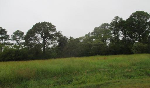 Photo #6 of 22048 VERLINDA LNDG NORTH, CAPE CHARLES, VA 1.0 acres