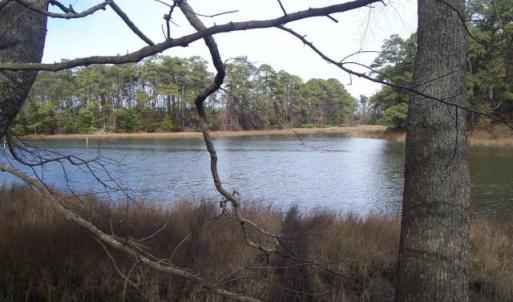 Photo #4 of 22048 VERLINDA LNDG NORTH, CAPE CHARLES, VA 1.0 acres