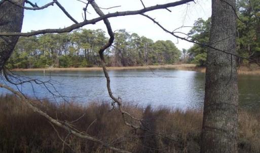 Photo #5 of 22058 VERLINDA LNDG NORTH, CAPE CHARLES, VA 0.8 acres