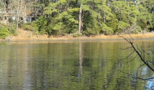 Photo #6 of 22058 VERLINDA LNDG NORTH, CAPE CHARLES, VA 0.8 acres