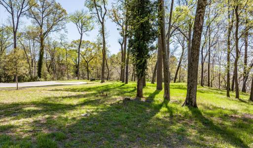 050-DJI_20240319130616_0179_D_M3PC-HDR