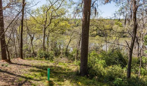 046-DJI_20240319130445_0167_D_M3PC-HDR