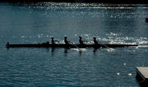 ROWERS (Large)