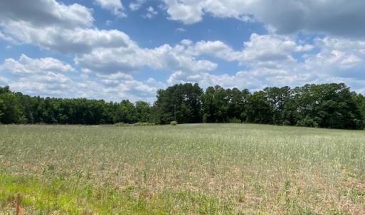 Photo #5 of 46 Christanna Highway, Blackstone, VA 1.4 acres