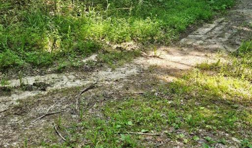 Photo #3 of 602 Longview DR, Kenbridge, VA 109.7 acres