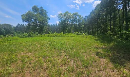 Photo #5 of 602 Longview DR, Kenbridge, VA 109.7 acres