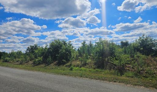 Photo #10 of 721 Ashcake RD, Scottsburg, VA 38.9 acres