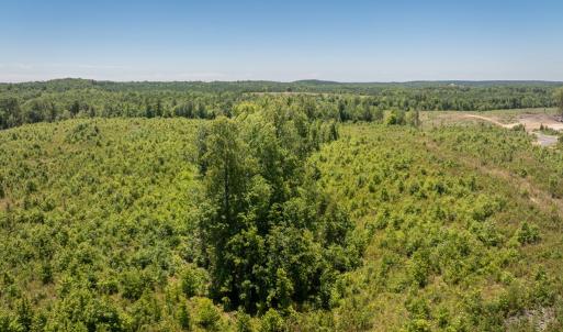 Photo #4 of 721 Ashcake RD, Scottsburg, VA 38.9 acres