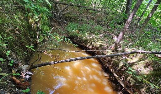Photo #5 of 721 Ashcake RD, Scottsburg, VA 38.9 acres