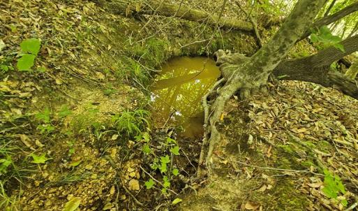 Photo #6 of 721 Ashcake RD, Scottsburg, VA 38.9 acres