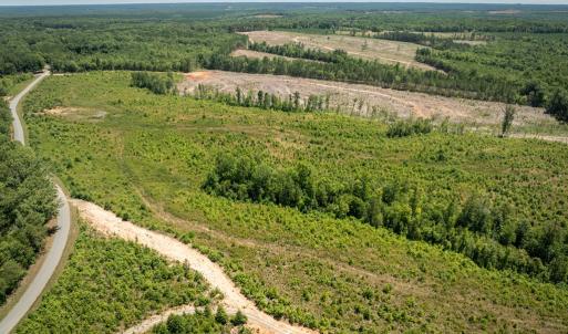 Photo #7 of 721 Ashcake RD, Scottsburg, VA 38.9 acres