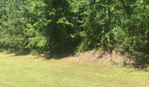 Screenshot_20240729-153239~3