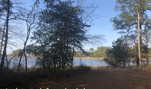Photo #11 of SOLD property in Lot12&13 TAYLOR CREEK DR, PUNGOTEAGUE, VA 6.7 acres