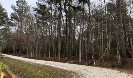 Photo #3 of SOLD property in Lot12&13 TAYLOR CREEK DR, PUNGOTEAGUE, VA 6.7 acres