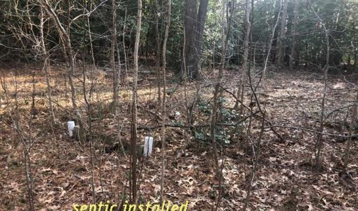 Photo #4 of SOLD property in Lot12&13 TAYLOR CREEK DR, PUNGOTEAGUE, VA 6.7 acres