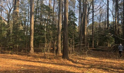 Photo #5 of SOLD property in Lot12&13 TAYLOR CREEK DR, PUNGOTEAGUE, VA 6.7 acres