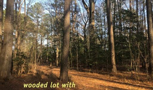 Photo #6 of SOLD property in Lot12&13 TAYLOR CREEK DR, PUNGOTEAGUE, VA 6.7 acres