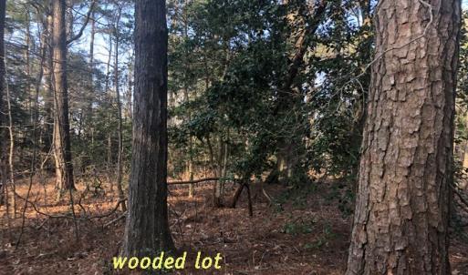 Photo #7 of SOLD property in Lot12&13 TAYLOR CREEK DR, PUNGOTEAGUE, VA 6.7 acres