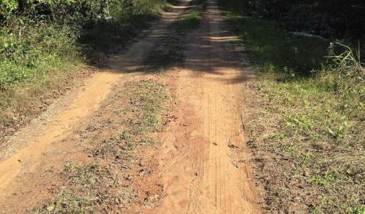 20241116_120333 (1) (1)