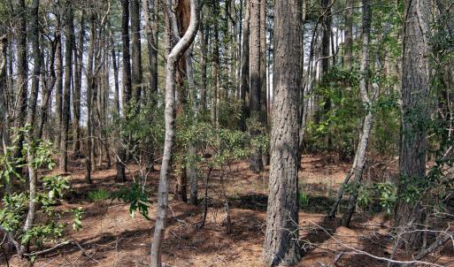 Photo #2 of Lot 862 BROADSIDE DR, GREENBACKVILLE, VA 0.2 acres