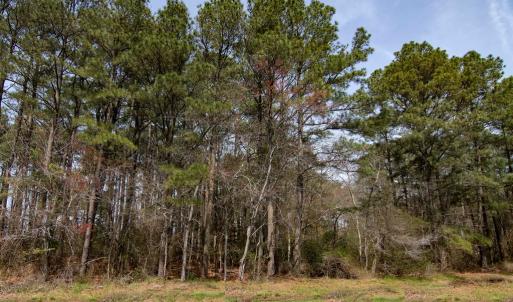 Photo #3 of Lot 862 BROADSIDE DR, GREENBACKVILLE, VA 0.2 acres