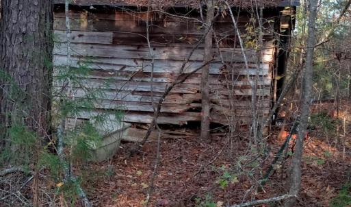 IMG_20241126_155812367