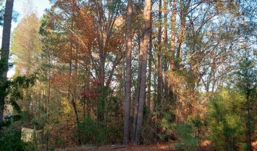 IMG_20241126_160523483_HDR