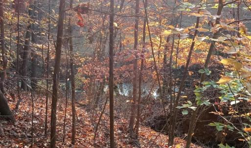 IMG_20241126_155927735