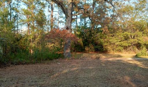 IMG_20241126_160744881_HDR