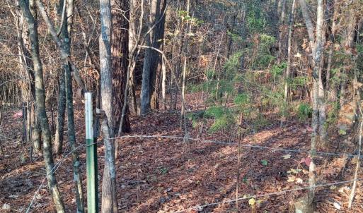 IMG_20241126_160349812_HDR