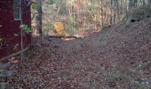 IMG_20241126_160315434_HDR